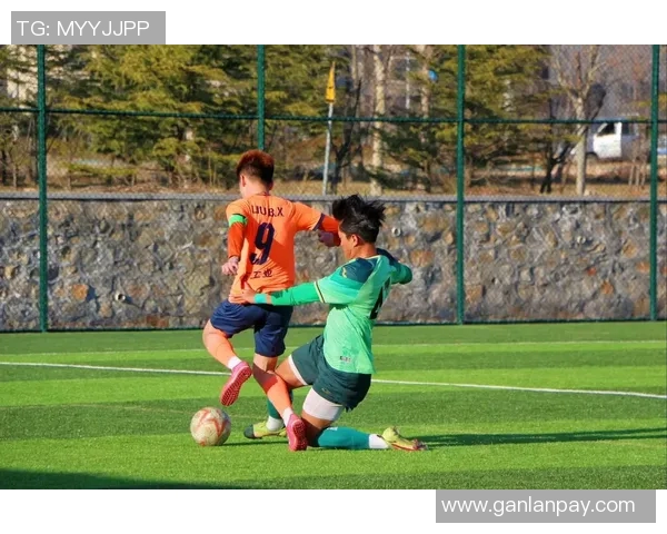 山东省足球协会推动地方足球发展新举措助力青少年培养与职业联赛提升