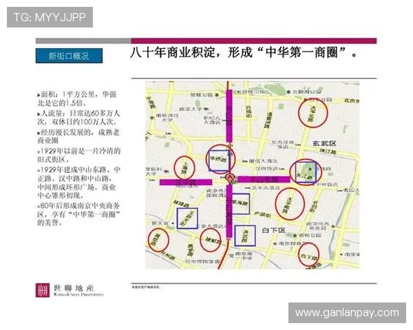 南京羽毛球队状态分析与表现评估全面解读 南京羽毛球队状态分析与表现评估全面解读